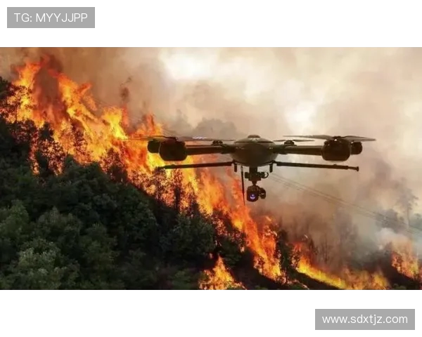 无人机在森林防火中的通信中继站